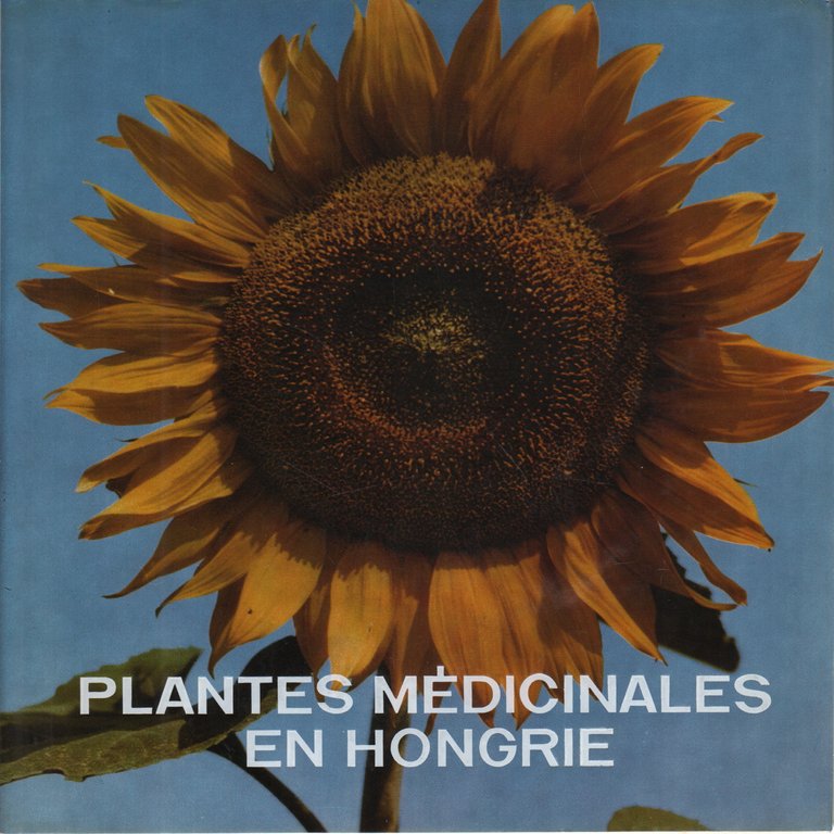 Plantes médicinales en Hongrie | Immagine Gallery 2