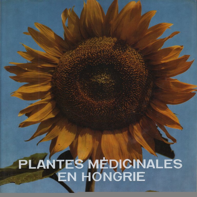 Plantes médicinales en Hongrie | Immagine Gallery 3
