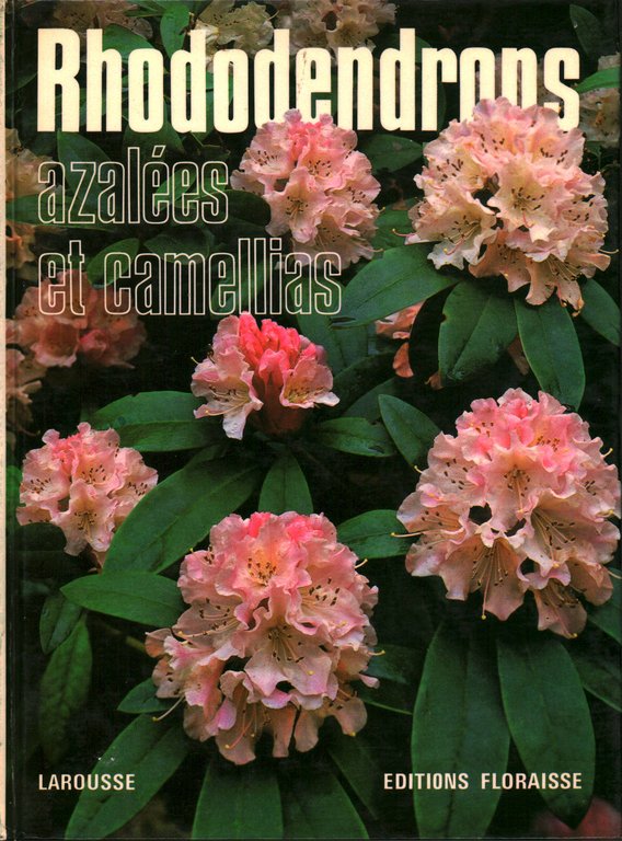 Rhododendrons, azalèes et camellias