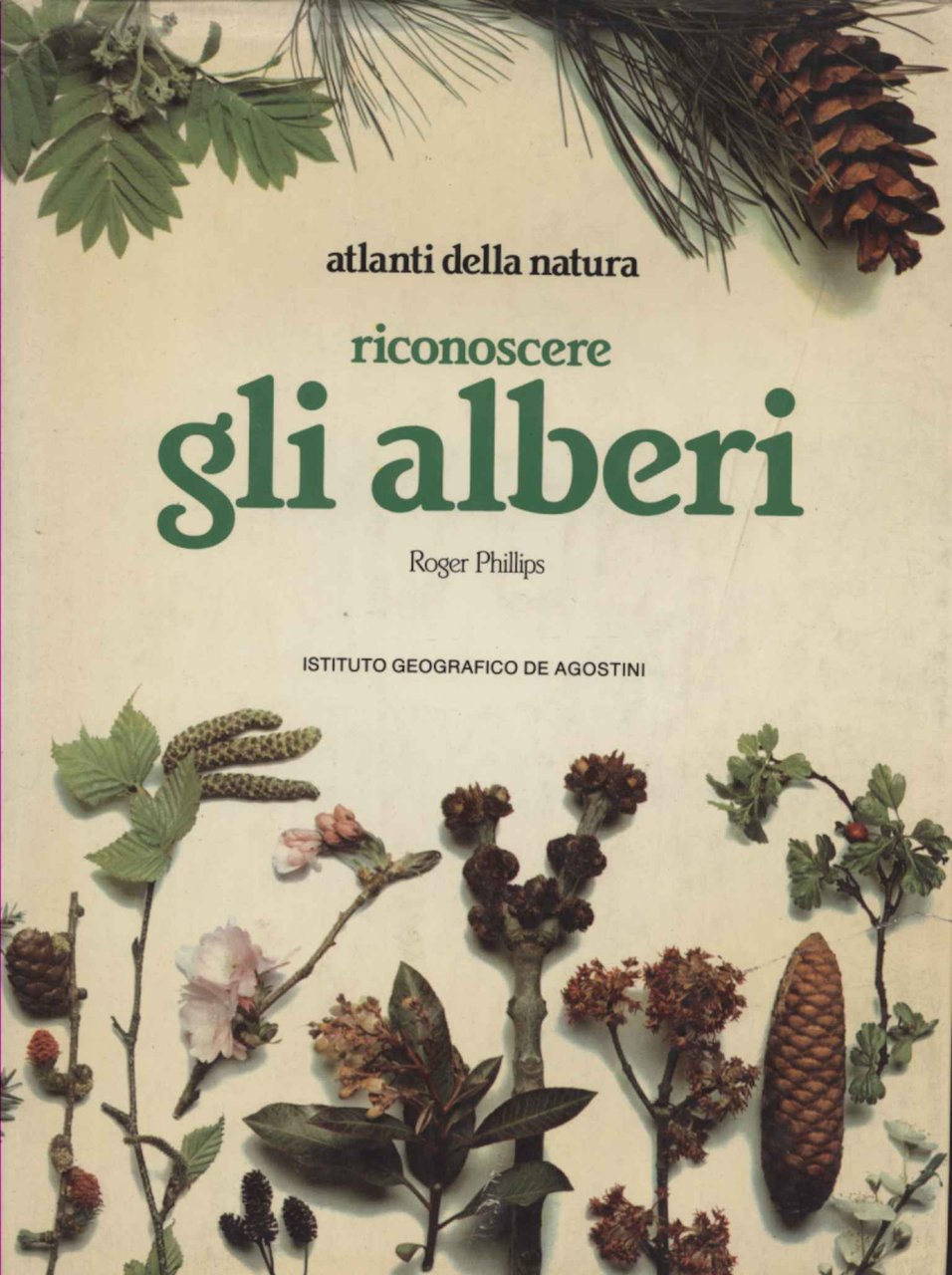 Riconoscere gli alberi