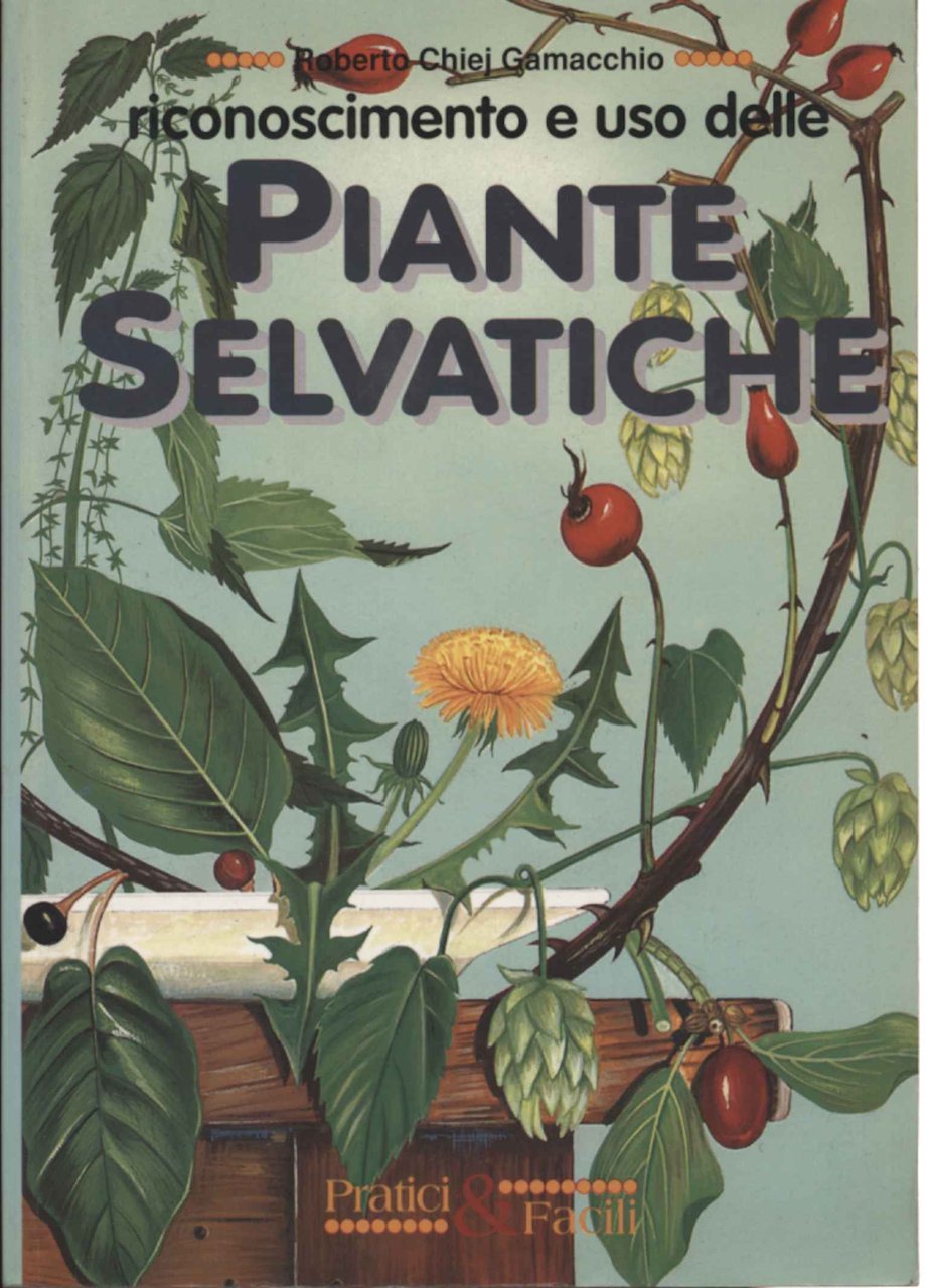 Riconoscimento e uso delle piante selvatiche | Immagine principale