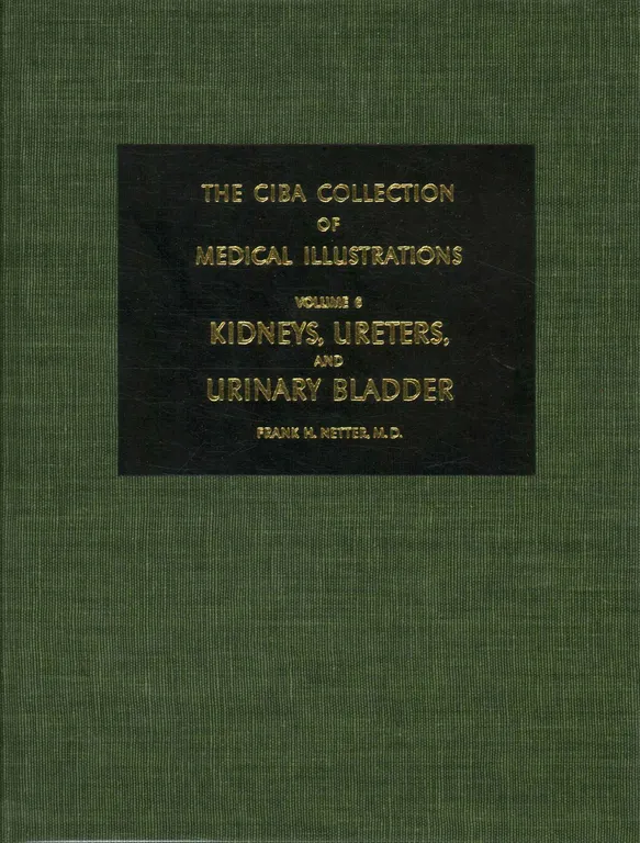 The ciba collection of medical illustrations. Volume 6