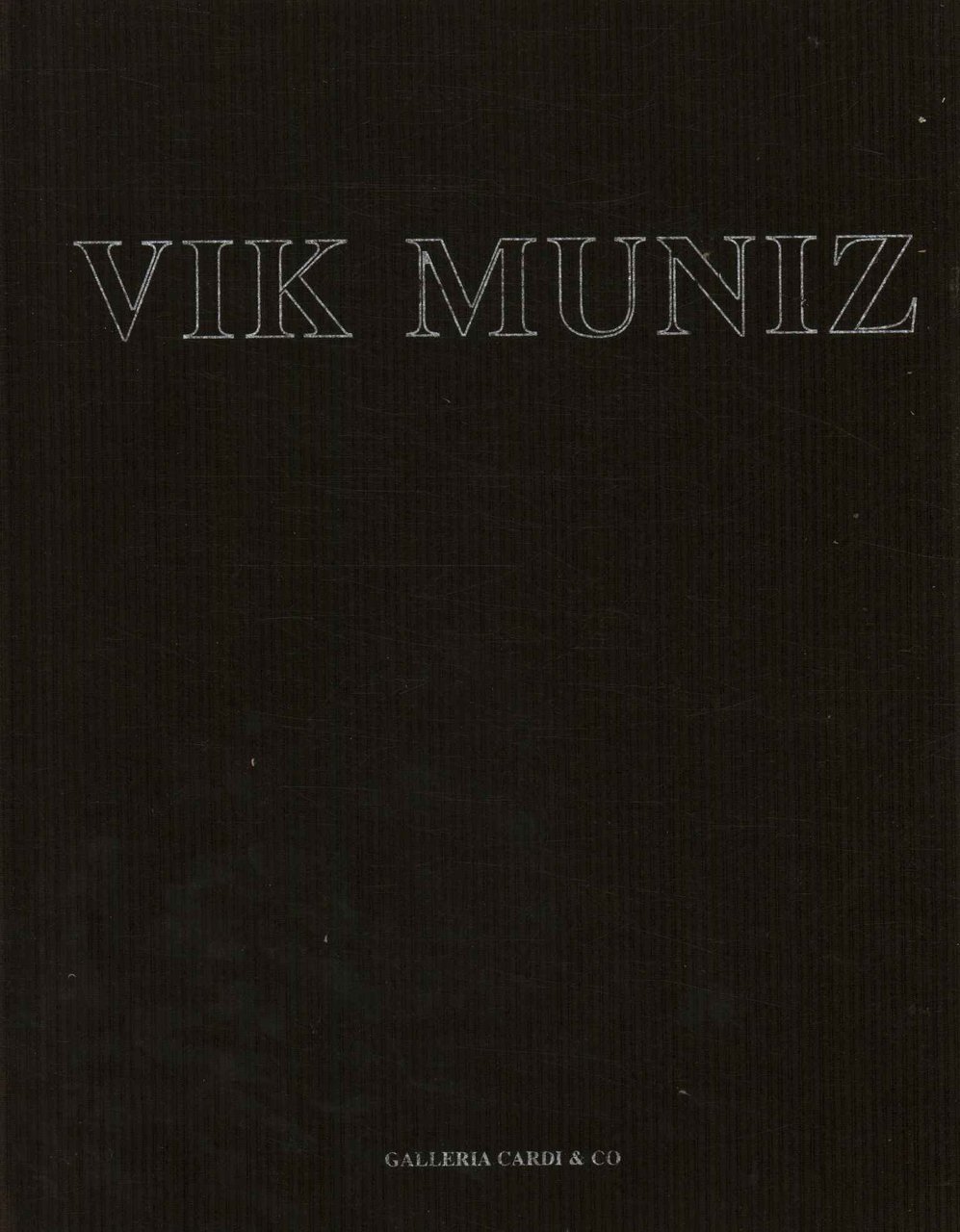 Vik Muniz