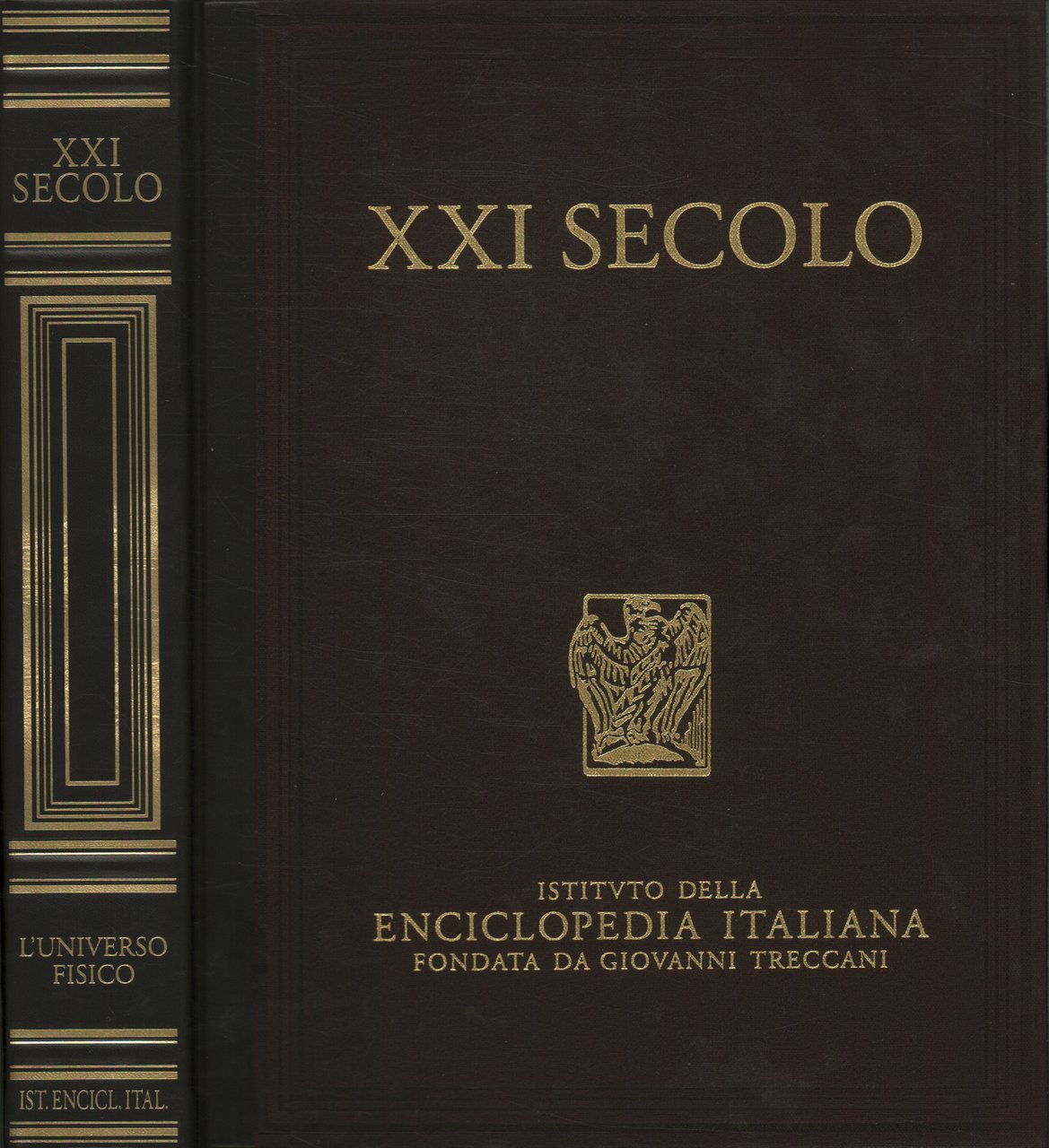 XXI secolo. L'Universo fisico