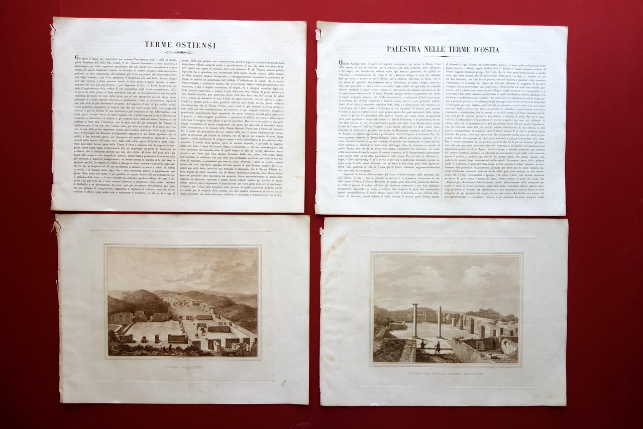 2 Acquetinte Terme Ostiensi Palestra Terme d'Ostia Descrizione Pio IX … | Immagine principale