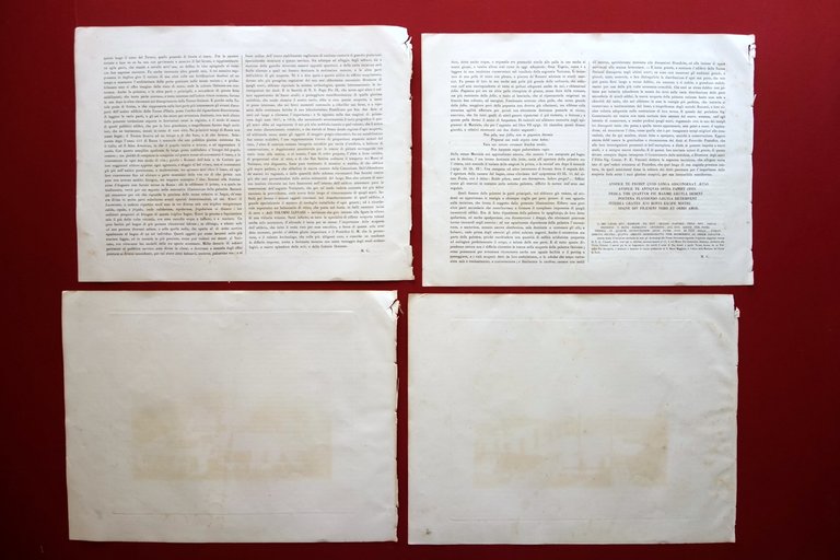 2 Acquetinte Terme Ostiensi Palestra Terme d'Ostia Descrizione Pio IX … | Immagine Gallery 2