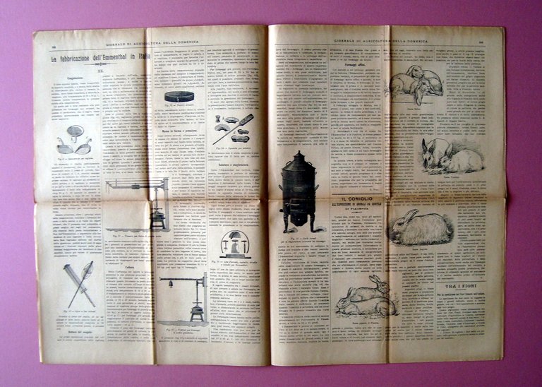 2 n Giornale Agricoltura della Domenica 1903 Fabbricazione Emmenthal in … | Immagine Gallery 3