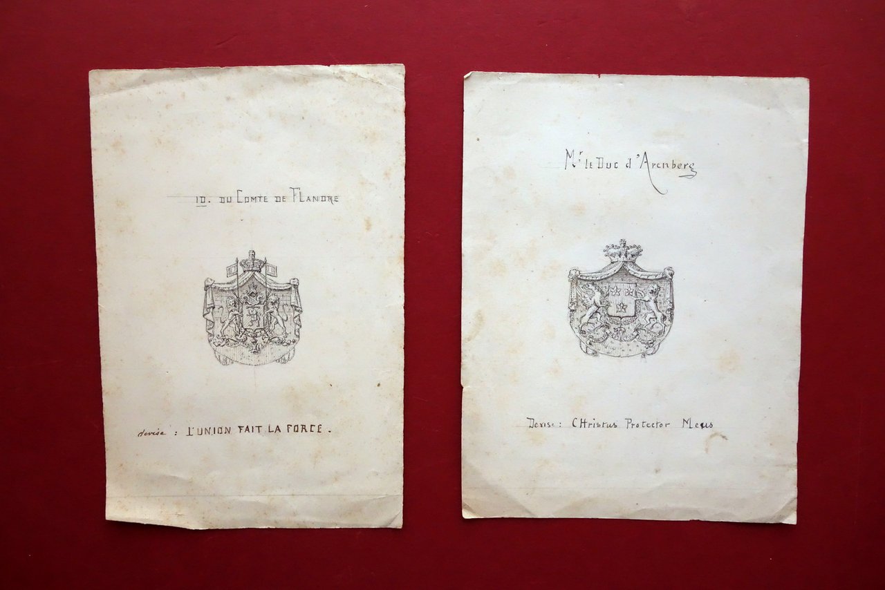 2 Stemmi Araldici Realizzati a Mano China Conte di Fiandra …