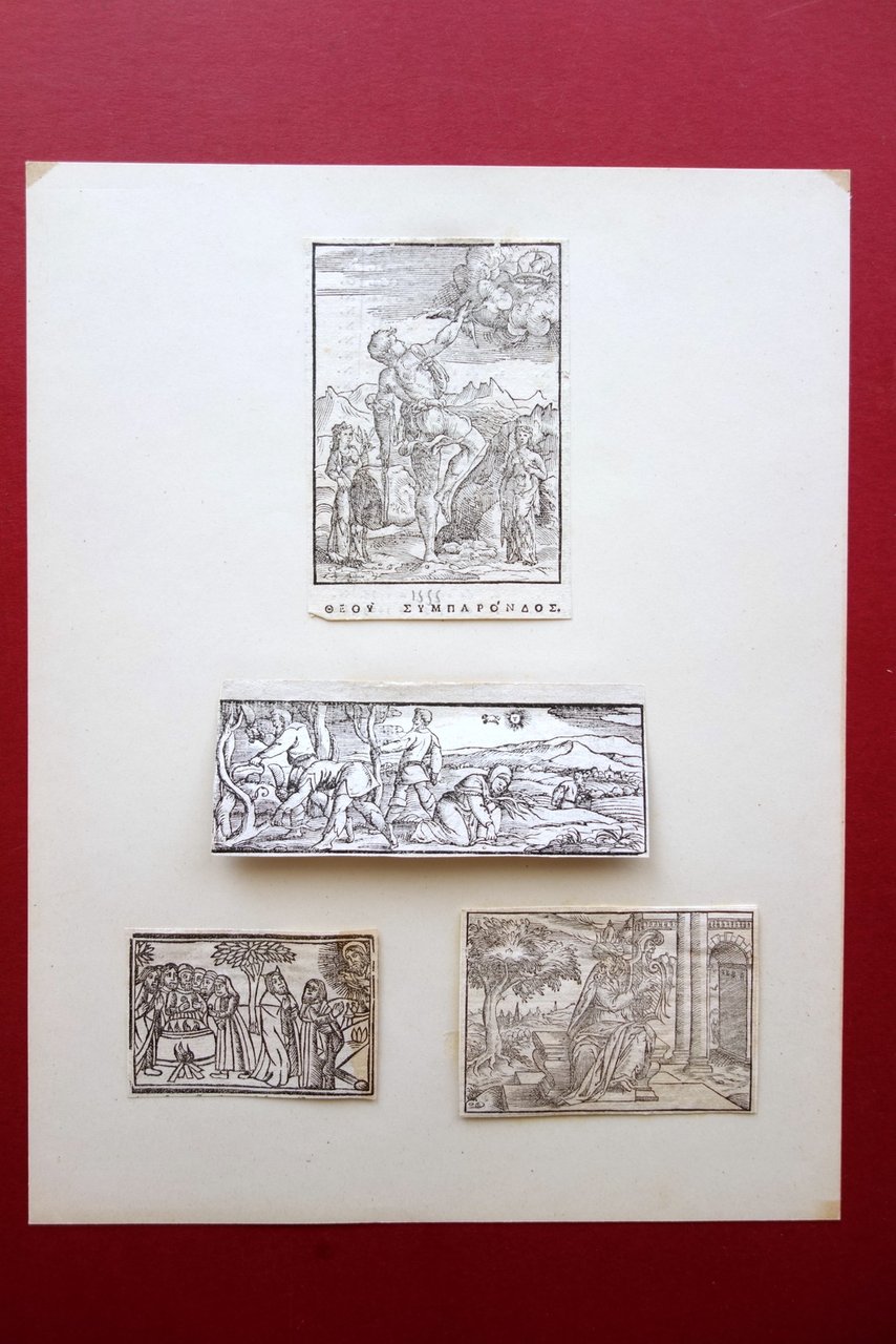 4 Xilografie Raccolta Incisioni Originali XVI∞ Secolo Cinquecento