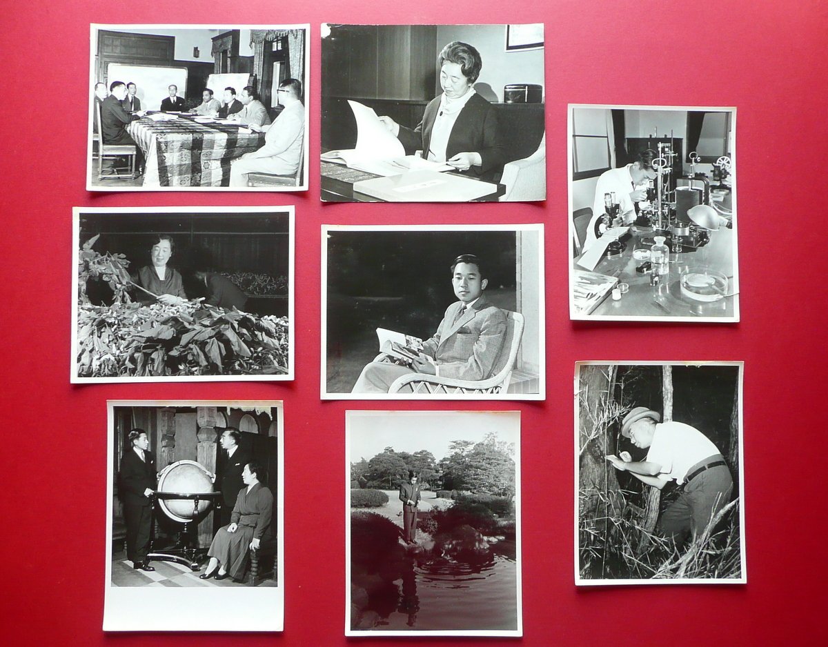 8 Grandi Fotografie Originali Famiglia Imperiale Giappone Hirohito Kojun Akihito