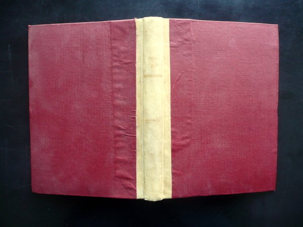 Vita di Michelangelo Buonarroti scritta da Ascanio Condivi Capurro 1823