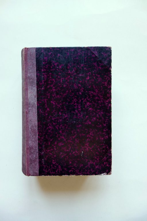 A. De Gubernatis Storia della Storia Florilegio Storico Hoepli 1884 …