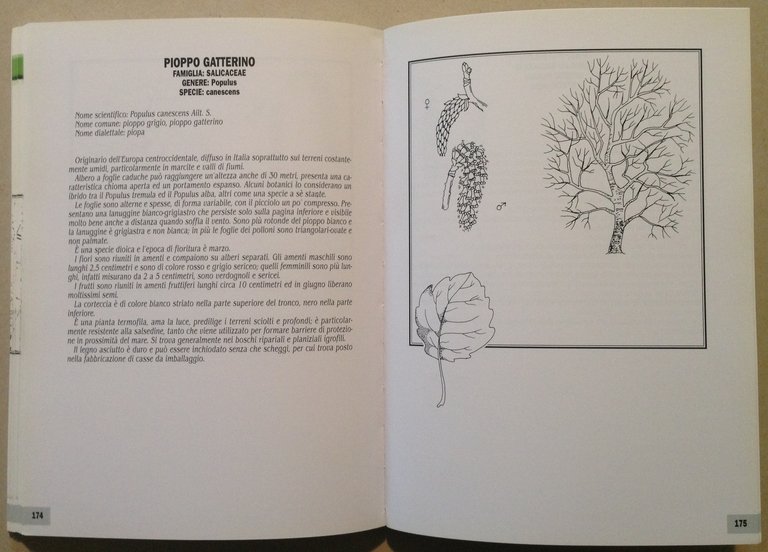 A. Di Paolo Il Patrimonio Verde Del Comune Di San …