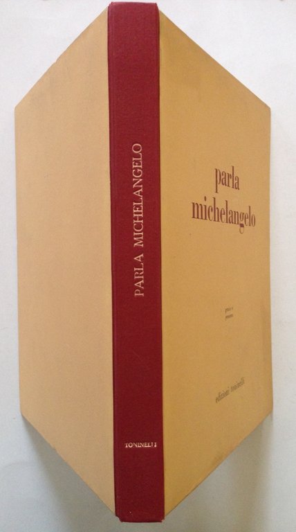 A L Cerchiari Parla Michelangelo Genio e Pensiero Edizioni Toninelli …