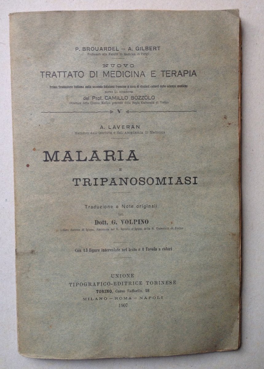 A Laveran Trattato di Medicina e Terapia Malaria e Tripanosomiasi … | Immagine principale