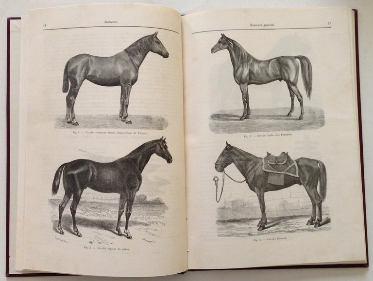 A. Lemoigne Zootecnia Generale UTET Torino 1900