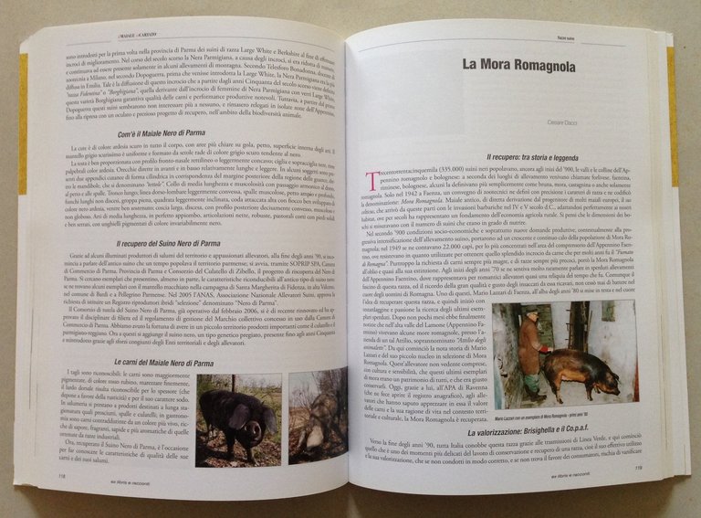 AA VV Il Maiale in Cartato Ex Libris e Racconti …