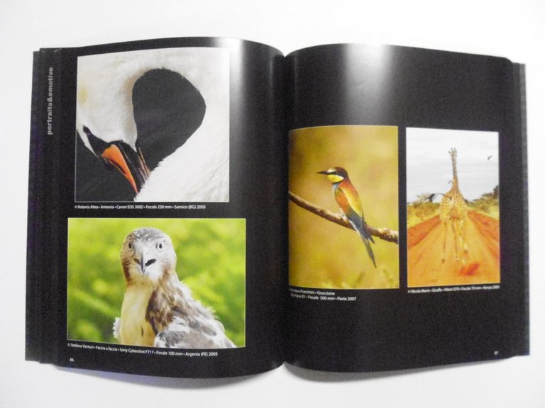 AA VV MaxArtis Book N∞ 2 MaxArtis 2008 avanguardia