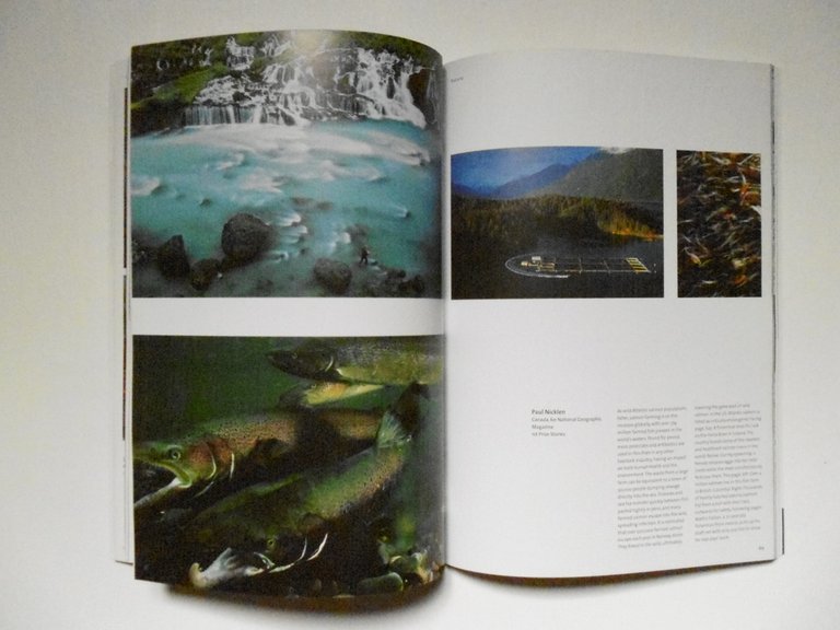 AA VV World Press Photo 04 Thames & Hudson 2004