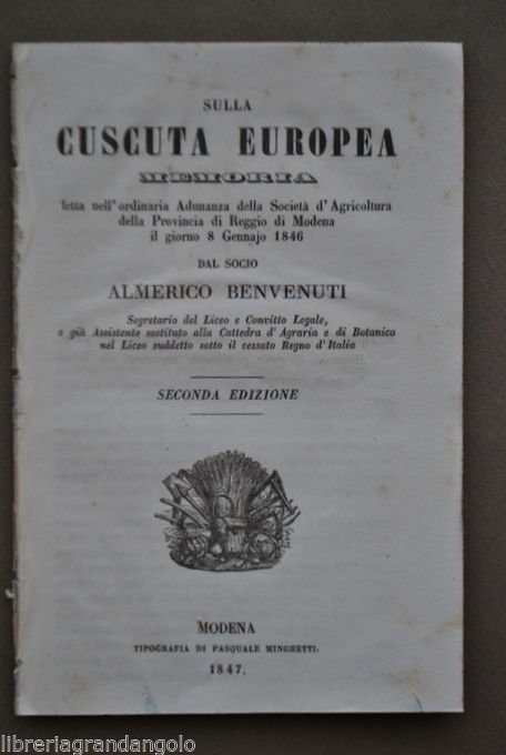 Agricoltura Agraria Prati Erba Cuscuta Europea Piante Infestanti Modena 1847