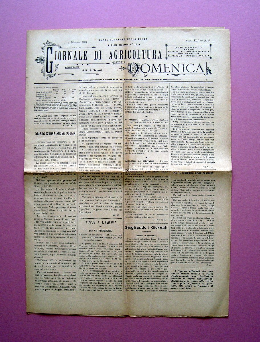 Agricoltura della Domenica 1903 N 5 1 Febbraio 1903 Viticoltura …