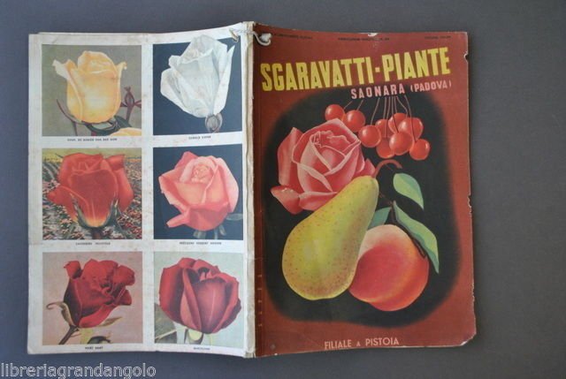 Agricoltura Giardinaggio Catalogo Piante Fiori Uva Orto Sgaravatti Saonara 1937