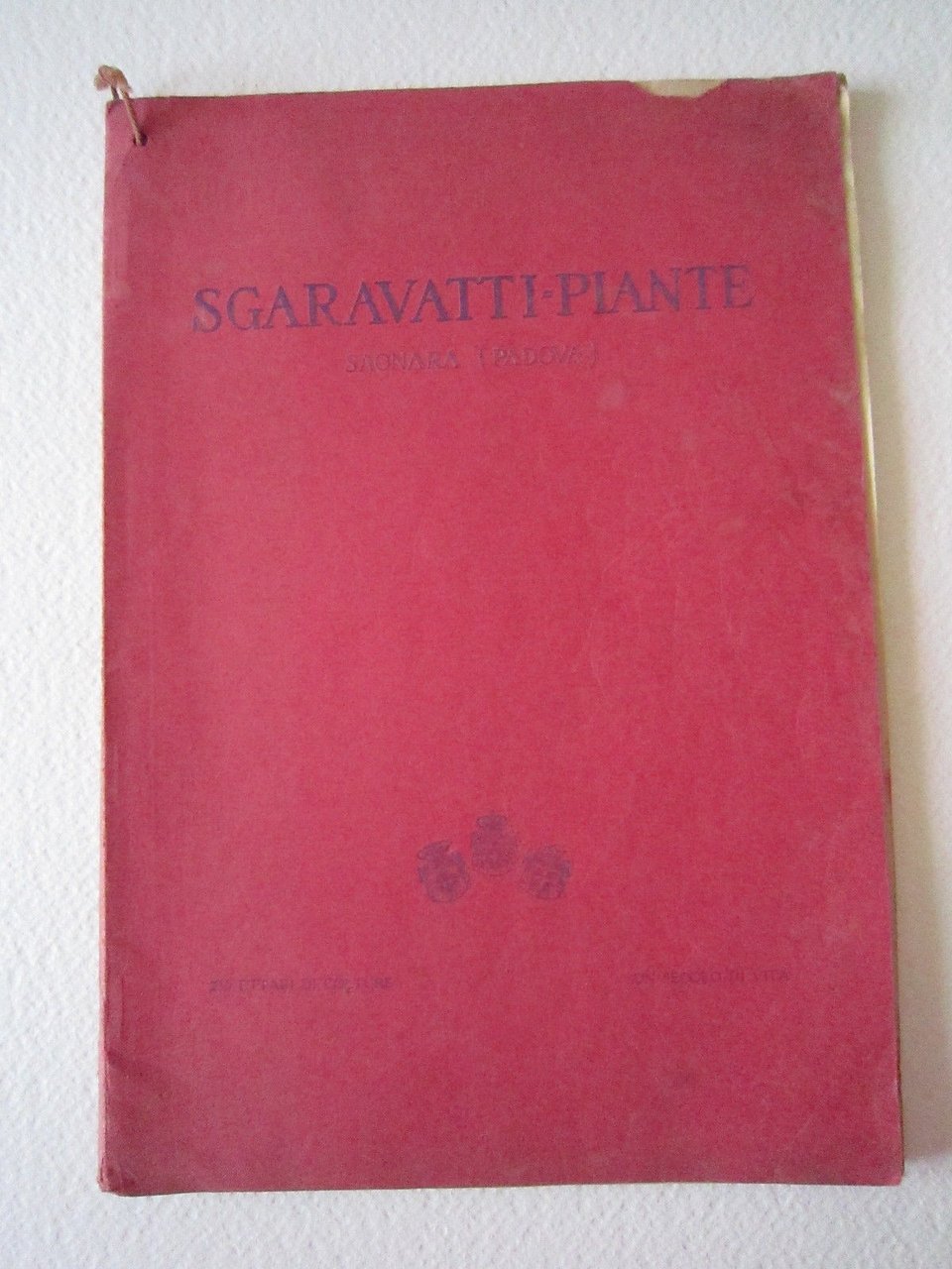 Agricoltura Giardinaggio Piante Sgaravatti Saonara Padova Orto Catalogo 1929