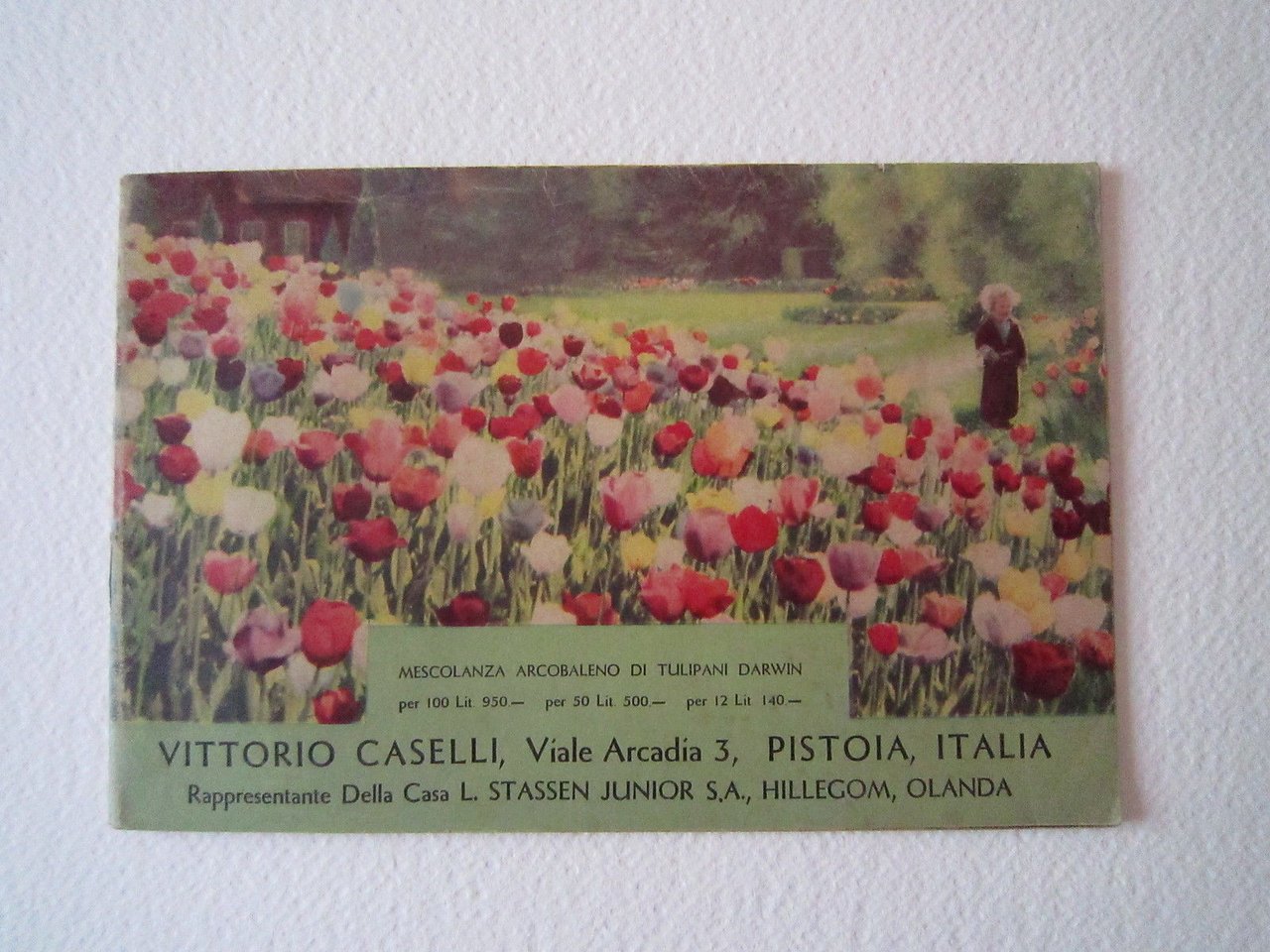 Agricoltura Giardinaggio Piante Vittoria Caselli Pistoia Fiori Catalogo 1947
