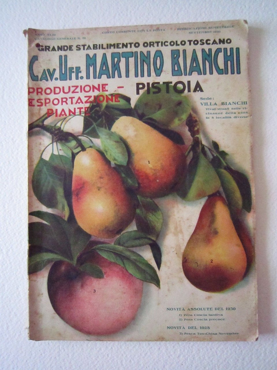 Agricoltura Giardinaggio Vivai Piante Martino Bianchi Pistoia Orto Catalogo 1930