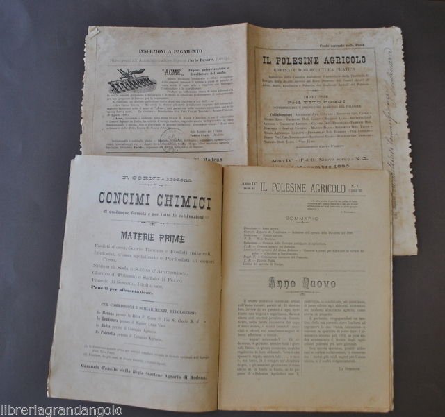 Agricoltura Polesine Agricolo Stalle Lendinara Frumento Coltivazione Gelso 1890