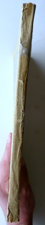 Alberto Pasini Pittore 50 Tavole Marco Calderini Ed. Celanza Torino … | Immagine Gallery 3