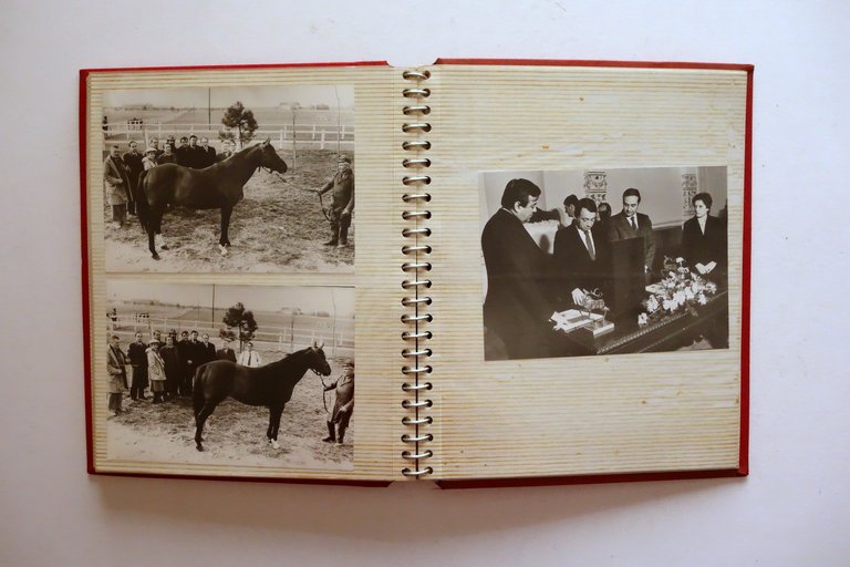 Album 29 Grandi Fotografie Gemellaggio Modena Novi Sad Visita Delegazione …