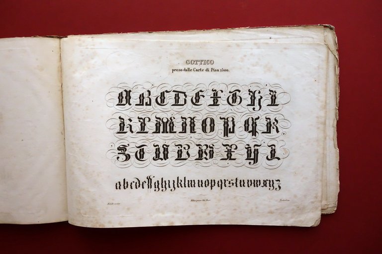 Album di Calligrafia 7 Tavole Italiano Ecclesiastico Antico Gotico Met‡ …