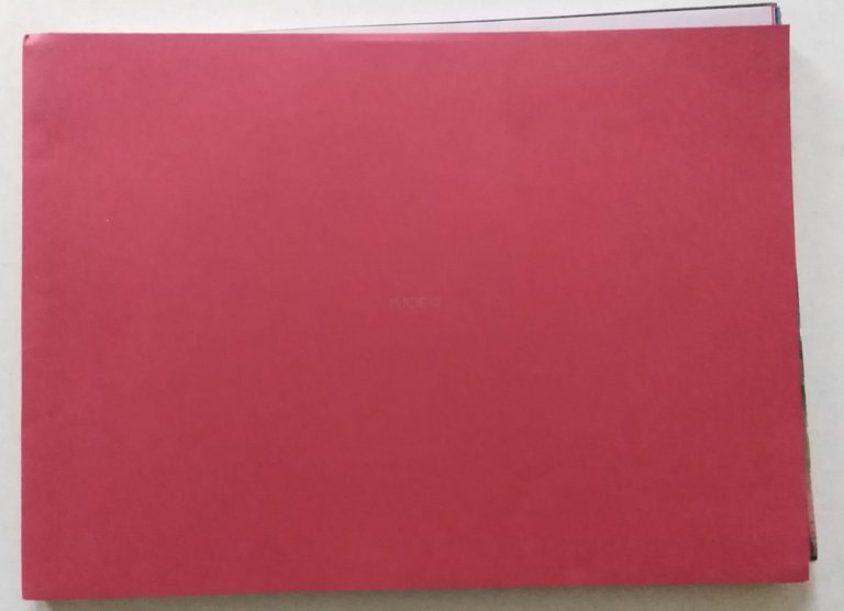 Album Fotografico Fuoco Sardegna Piga Provincia di Cagliari 2008