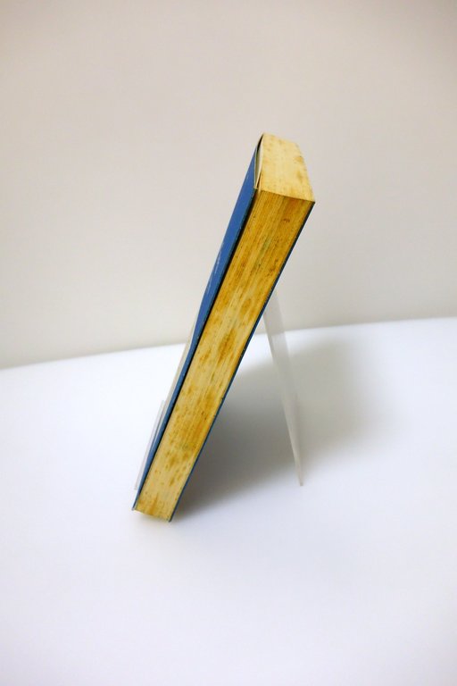 ALDA COSTA SCRITTI E DISCORSI (1905-1921) CAZZOLA SPAZIO LIBRI EDITORI …