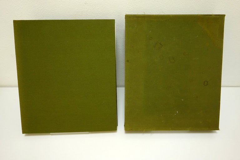 Aldo Borgonzoni Ercole Camurani Itinerari Castinghouse Mirandola 1979 Serigrafia