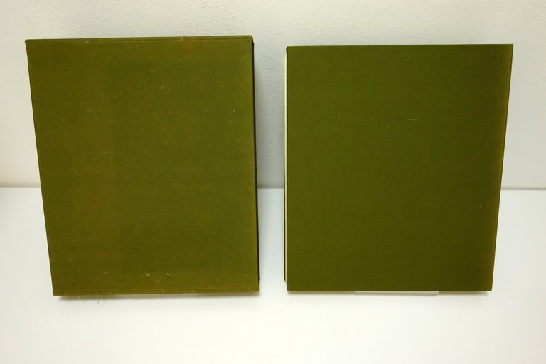 Aldo Borgonzoni Ercole Camurani Itinerari Castinghouse Mirandola 1979 Serigrafia