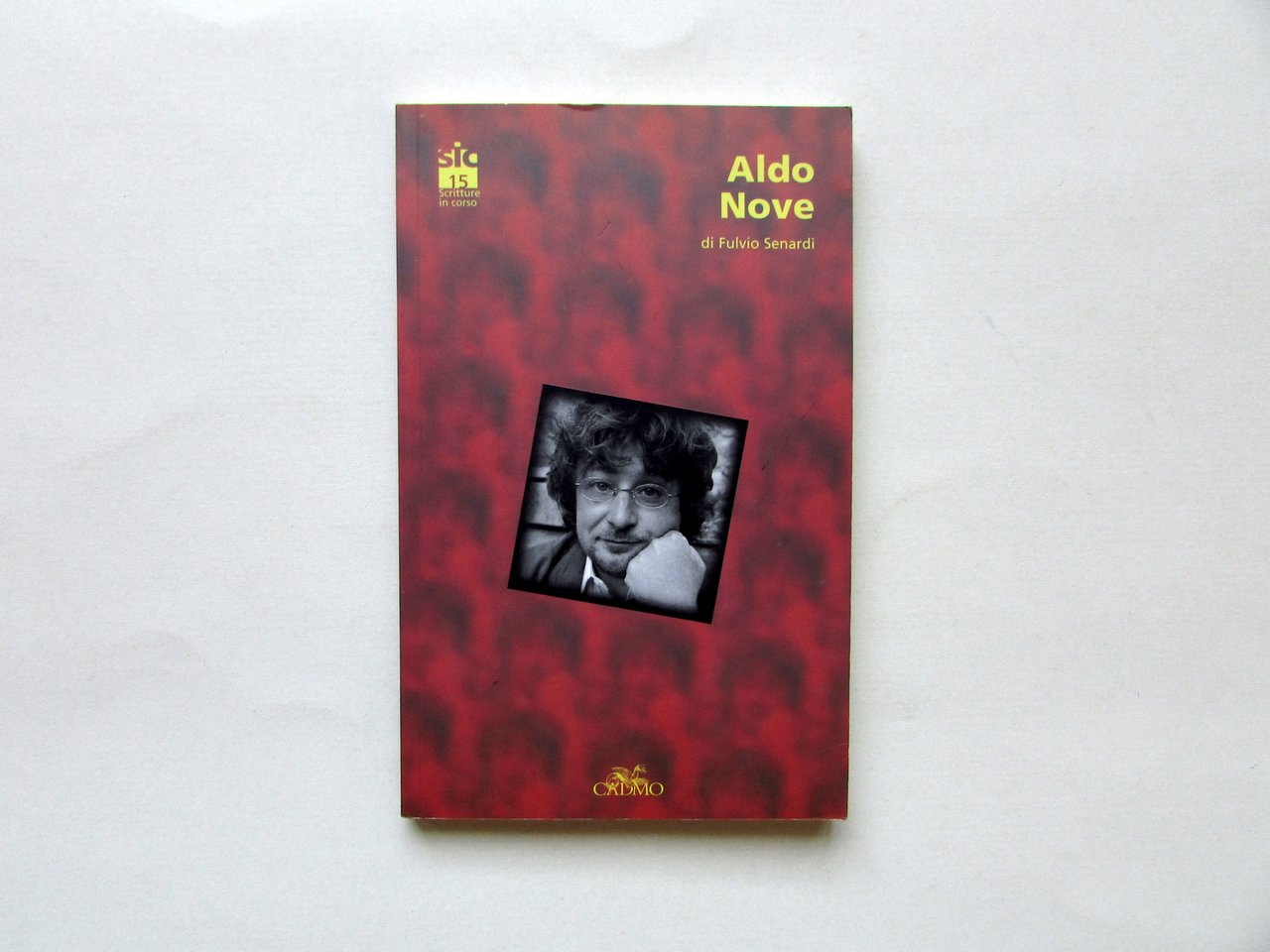 Aldo Nove di Fulvio Senardi Cadmo Firenze 2005 | Immagine principale