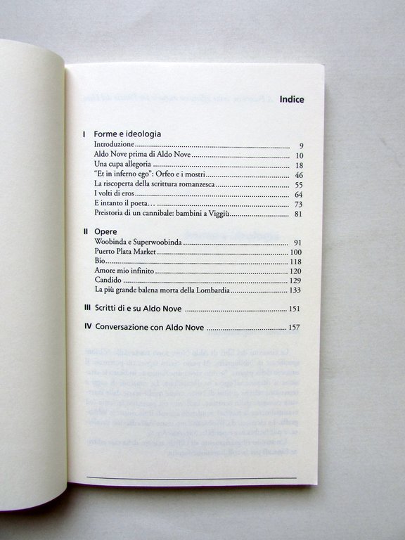 Aldo Nove di Fulvio Senardi Cadmo Firenze 2005 | Immagine Gallery 2