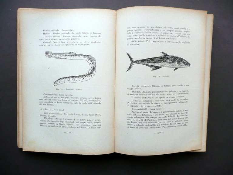 Aldo Peronacci Lo Sport della Pesca Editoriale Olimpia Firenze 1951 | Immagine Gallery 5