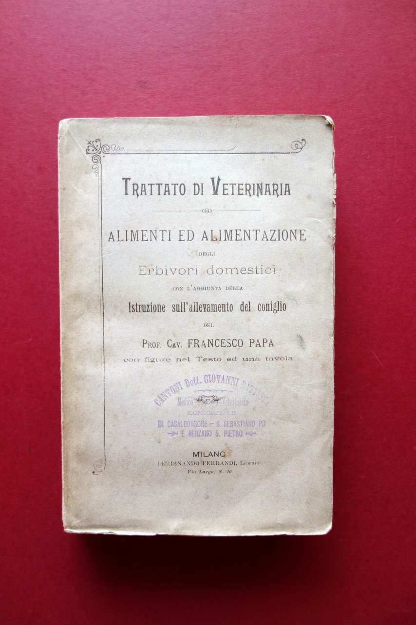 Alimenti ed Alimentazione degli Erbivori Domestici Allevamento del Coniglio Papa | Immagine principale