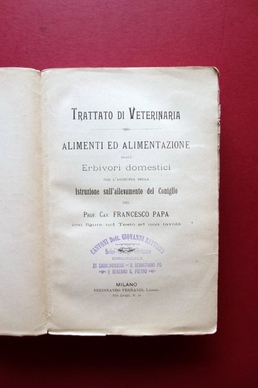 Alimenti ed Alimentazione degli Erbivori Domestici Allevamento del Coniglio Papa | Immagine Gallery 4