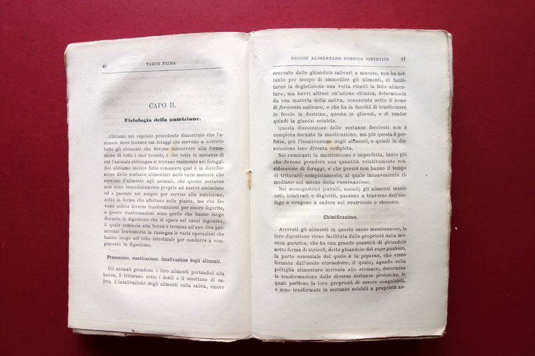 Alimenti ed Alimentazione degli Erbivori Domestici Allevamento del Coniglio Papa | Immagine Gallery 6