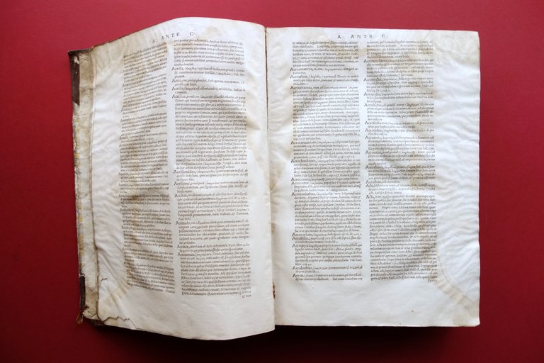 Ambrosii Calepini Dictionarium apud Sebastianum Gryphium Lugduni 1550 Volume I