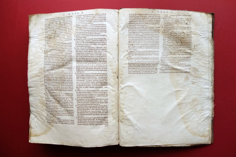 Ambrosii Calepini Dictionarium apud Sebastianum Gryphium Lugduni 1550 Volume I