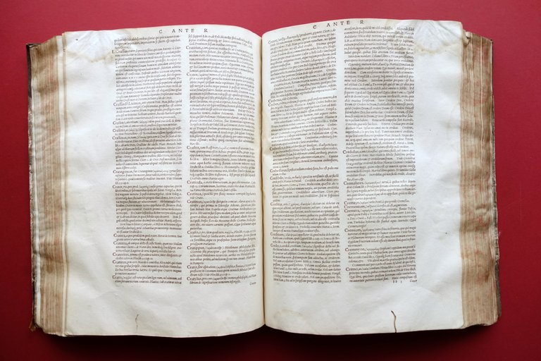 Ambrosii Calepini Dictionarium apud Sebastianum Gryphium Lugduni 1550 Volume I