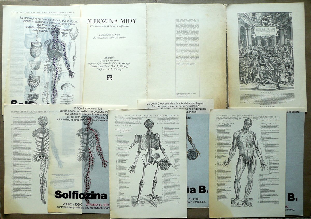 Andrea Vesalio Quattro Tavole Anatomiche Pubblicit‡ Solfiozina Midy Anni '50