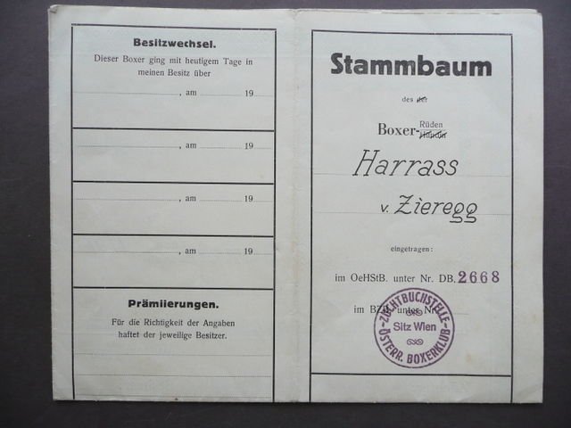 Animali Cani Pedigree Albero Genealogico Stammbaum Boxer Vienna 1934