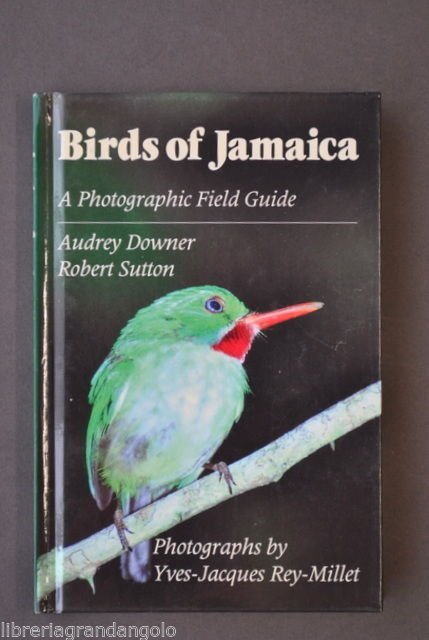 Animali Uccelli Birds of Jamaica Specie Habitat Fotografie Downer Sutton … | Immagine principale