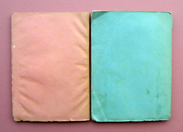 Annuario Astro Meteorologico con effemeridi nautiche 1885 1887 Due Numeri